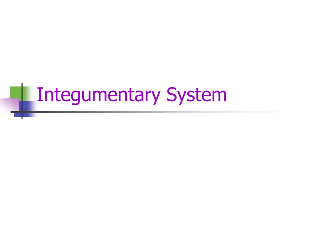 integumentary system