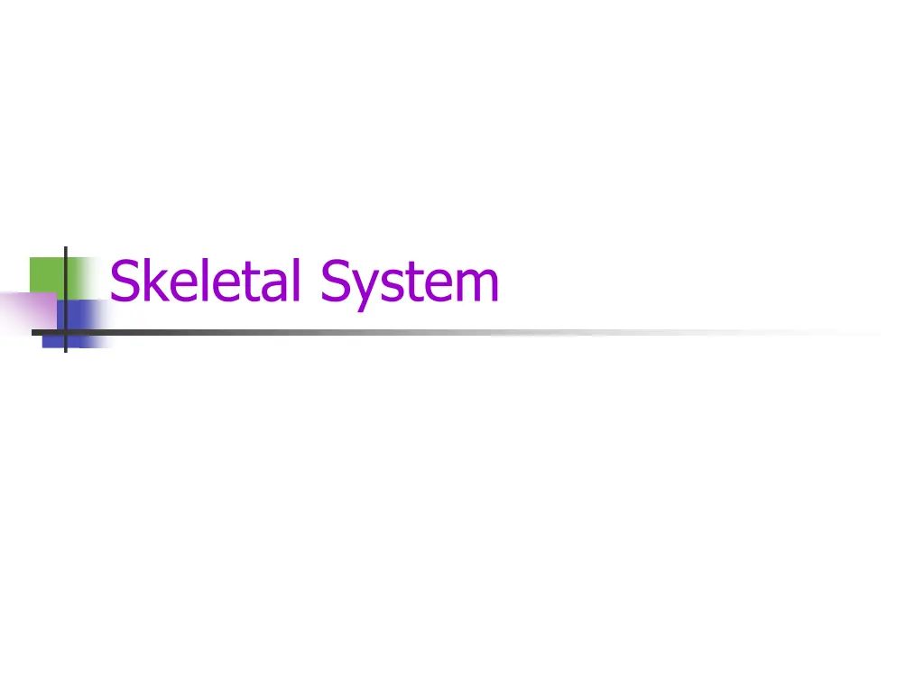 skeletal system