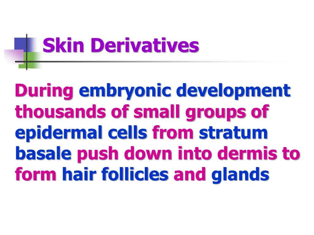 skin derivatives