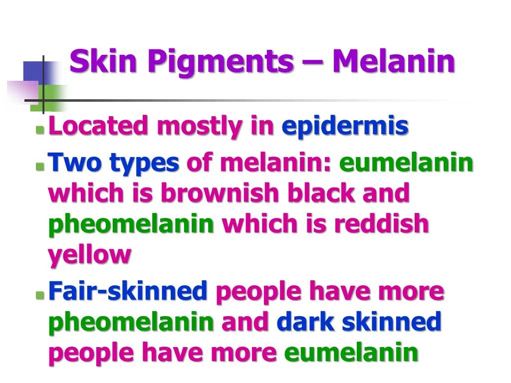 skin pigments melanin