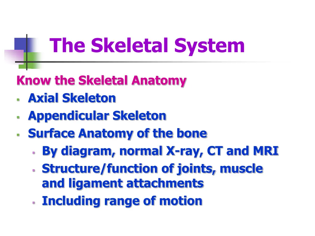 the skeletal system