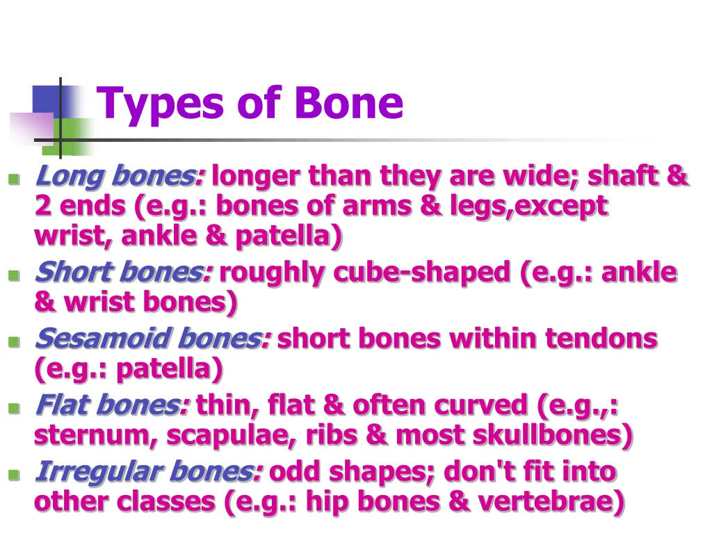 types of bone