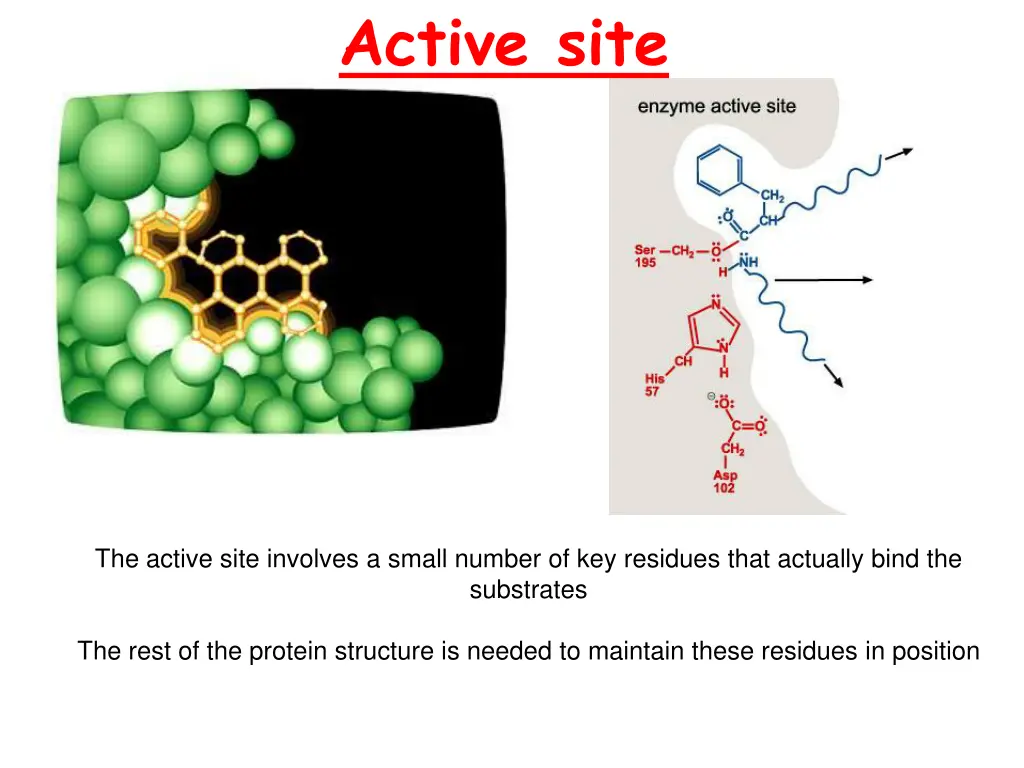 active site