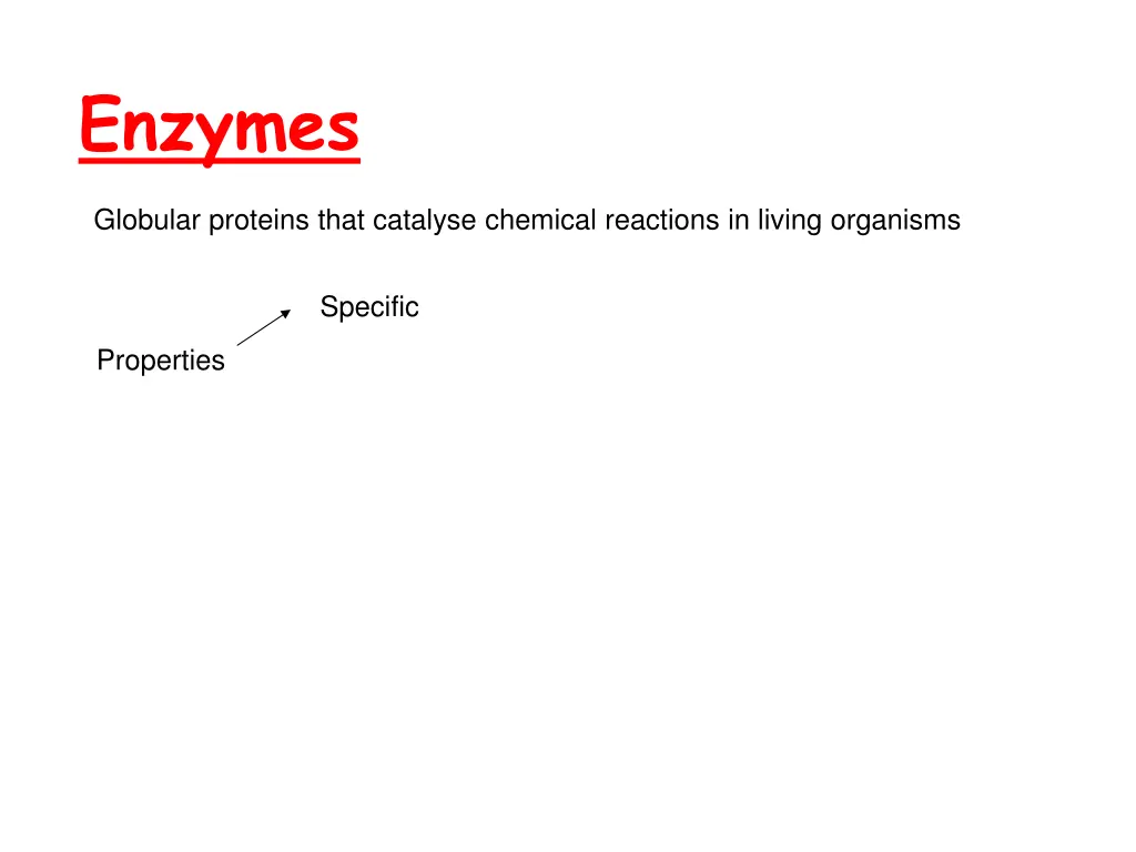 enzymes 1