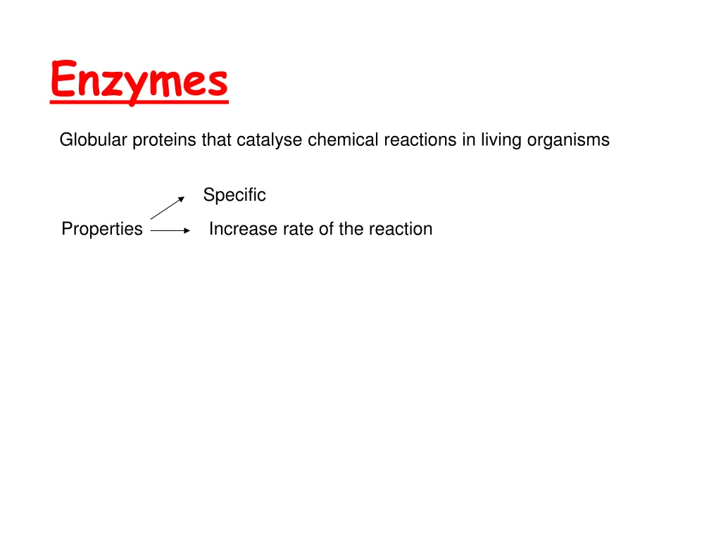 enzymes 2