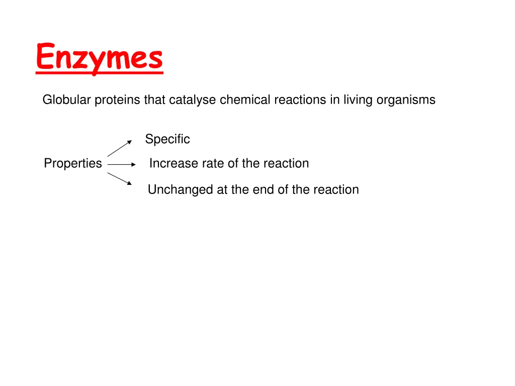enzymes 3