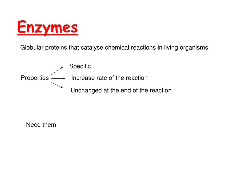 enzymes 4