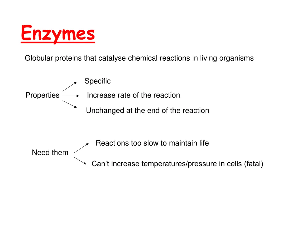 enzymes 5