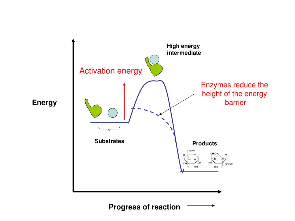 high energy intermediate 2