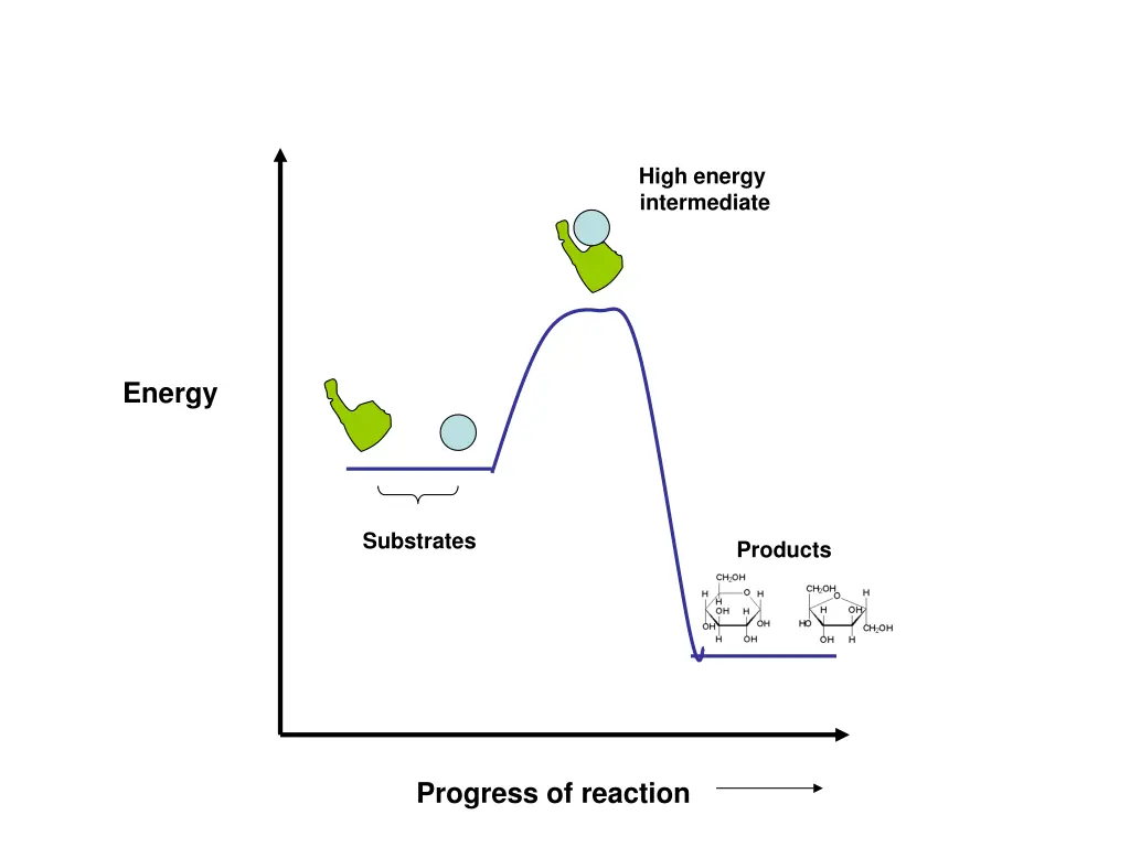 high energy intermediate