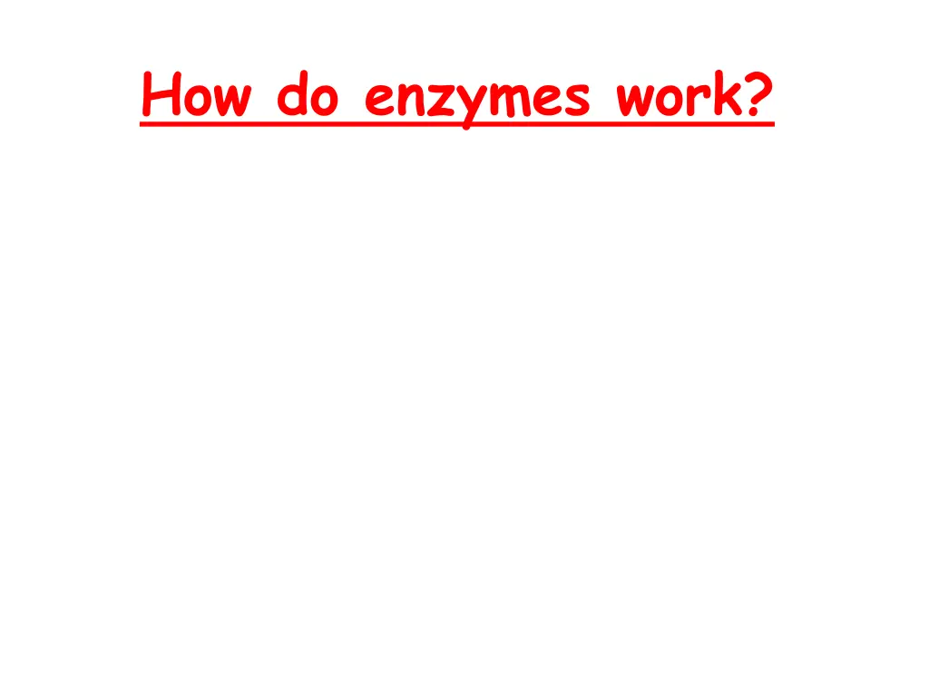 how do enzymes work