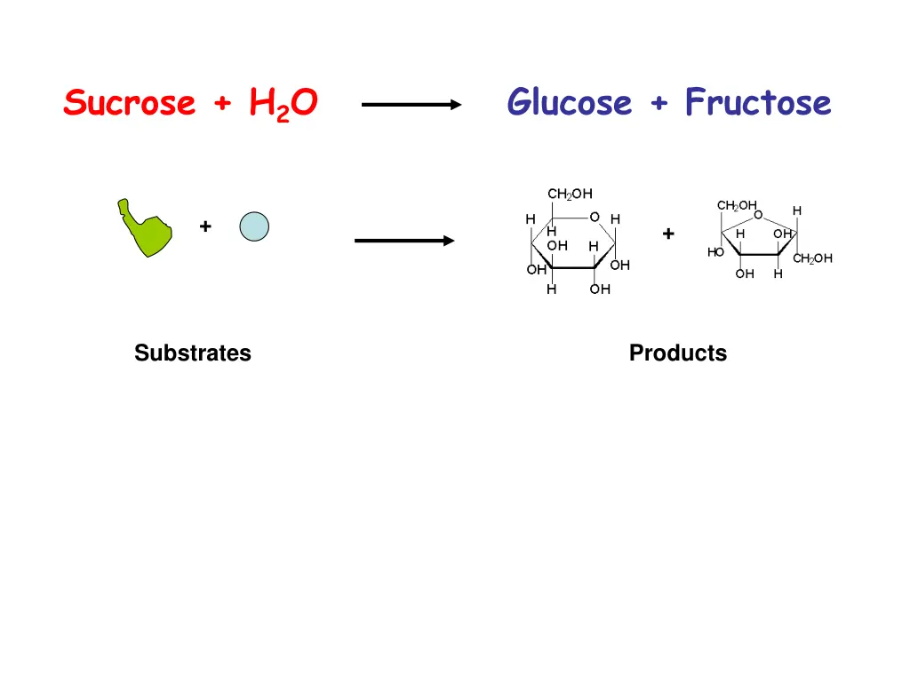 sucrose h 2 o