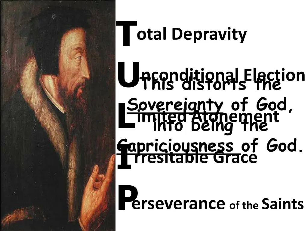 t u l i p