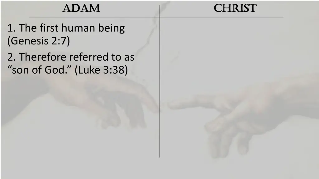 adam adam 1