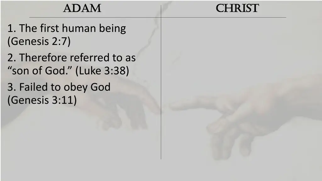 adam adam 2