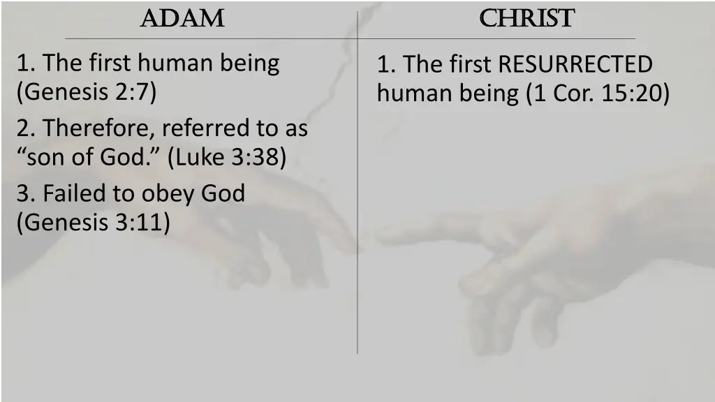 adam adam 3