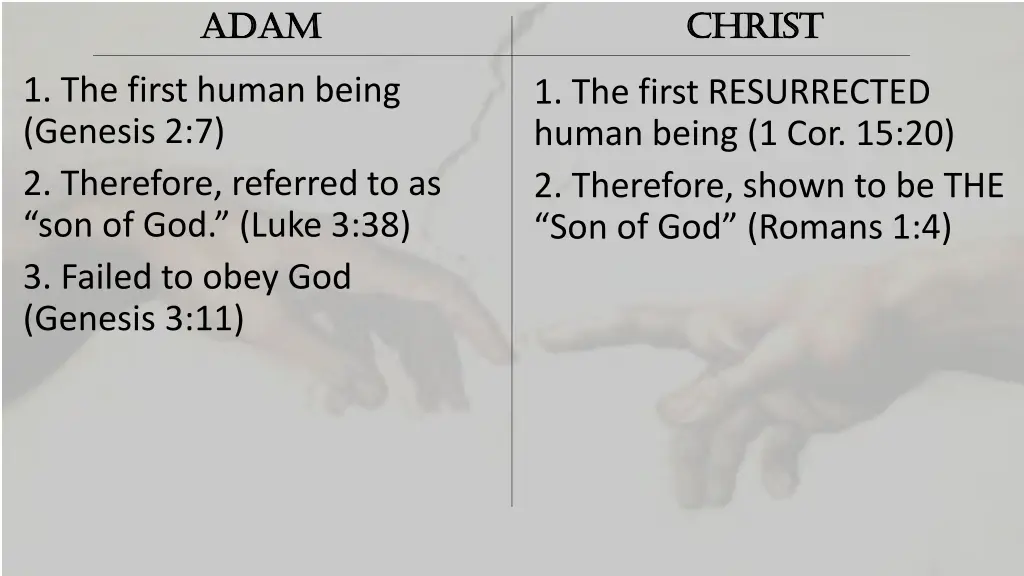 adam adam 4