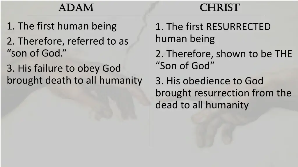 adam adam 5