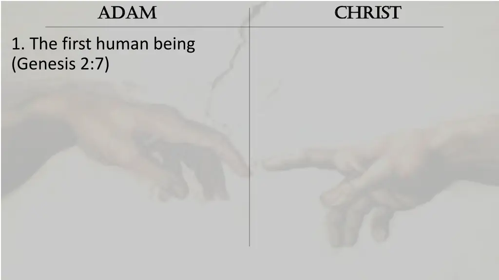 adam adam