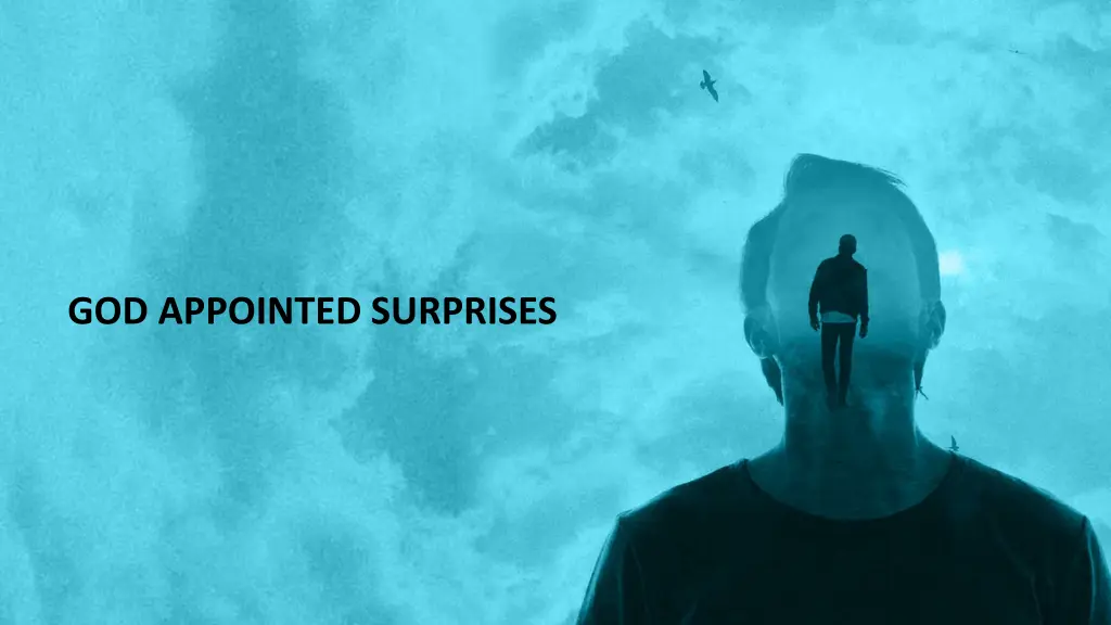 god appointed surprises
