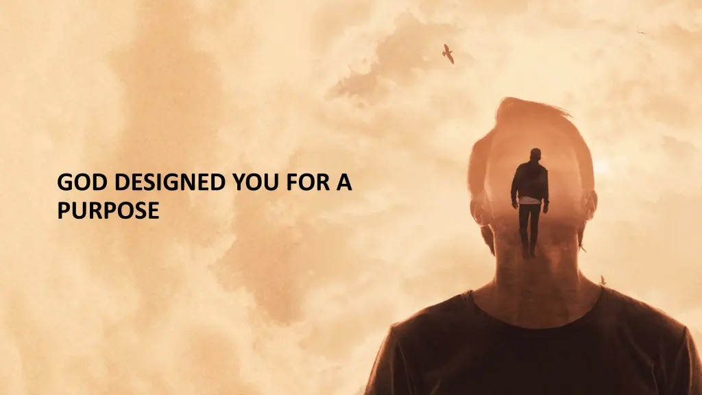 god designed you for a purpose