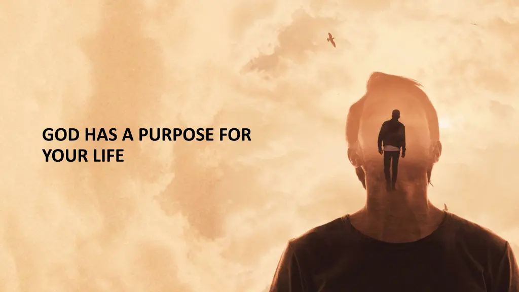 god has a purpose for your life
