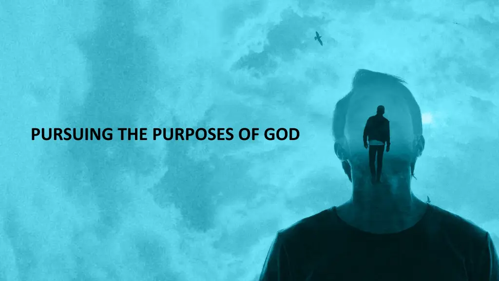 pursuing the purposes of god