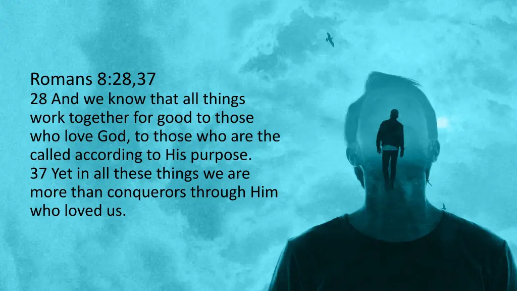 romans 8 28 37 28 and we know that all things