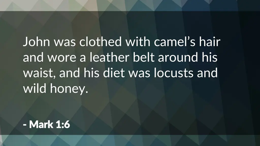 john was clothed with camel s hair and wore