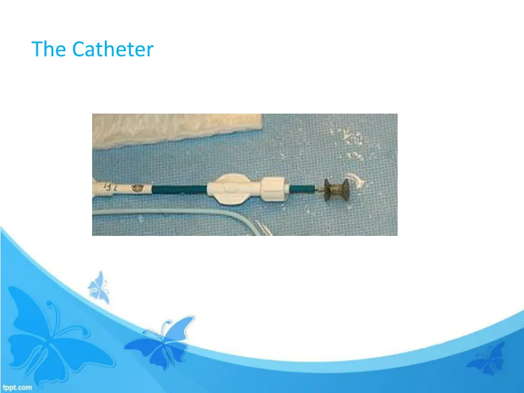 the catheter
