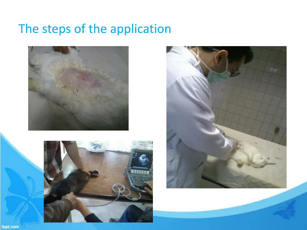 the steps of the application