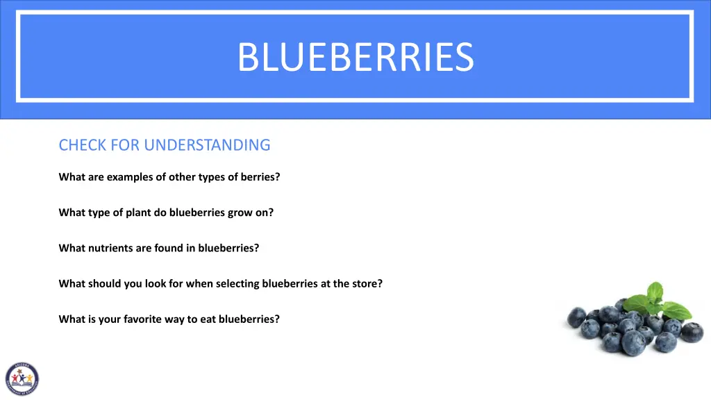 blueberries 2