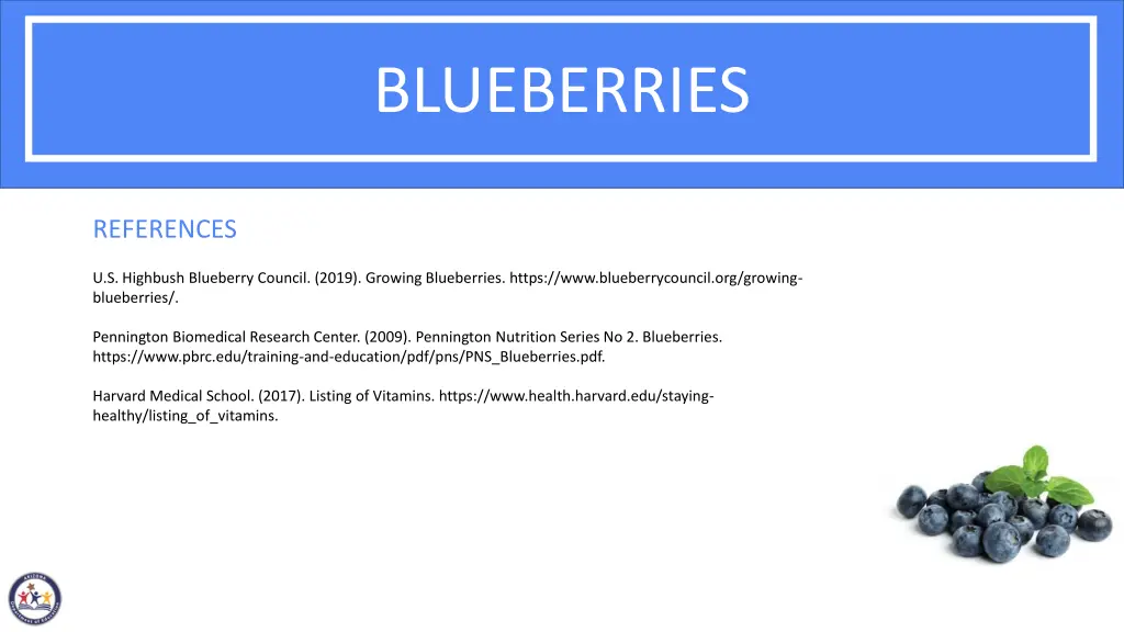 blueberries 4