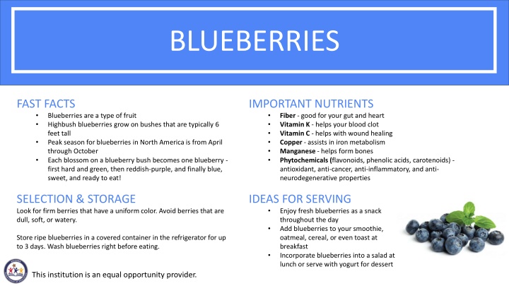 blueberries