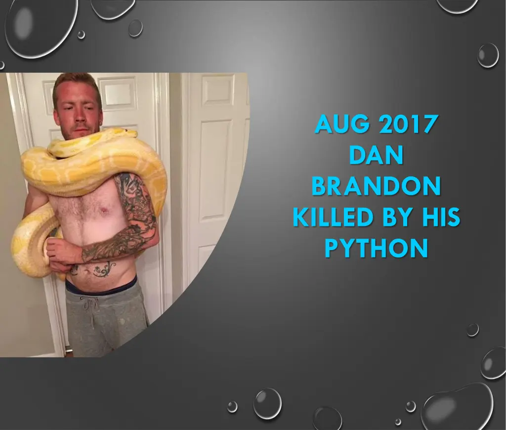 aug 2017 dan brandon killed by his python
