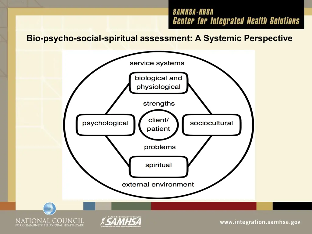 bio psycho social spiritual assessment a systemic