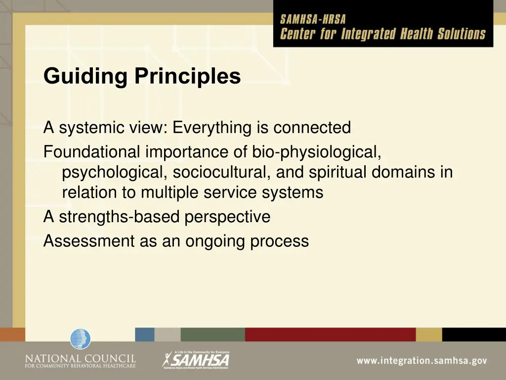 guiding principles
