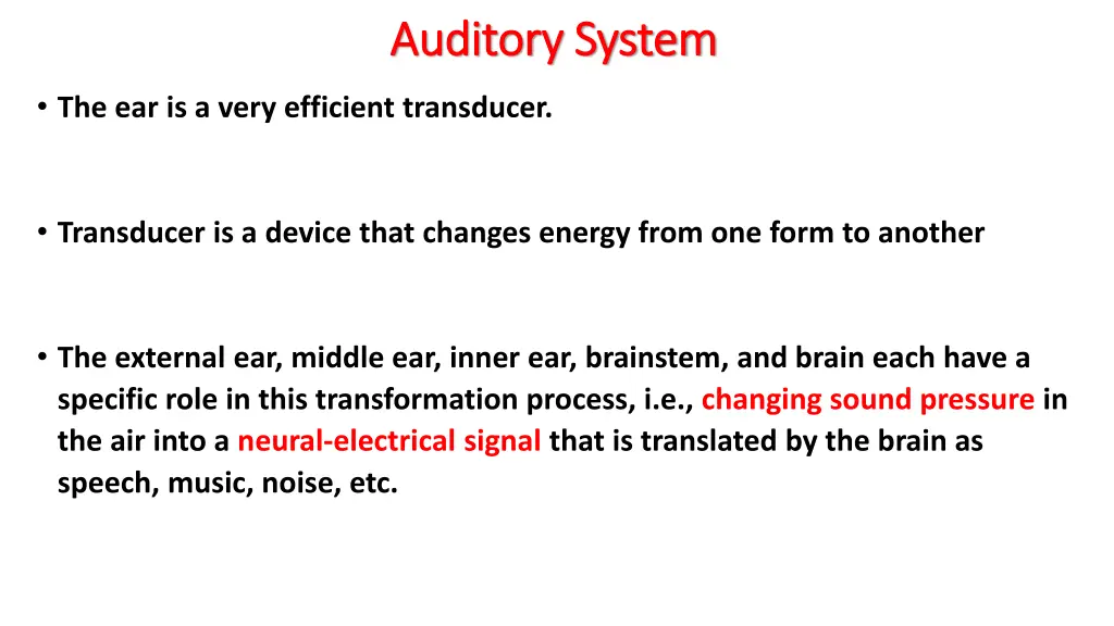 auditory system auditory system