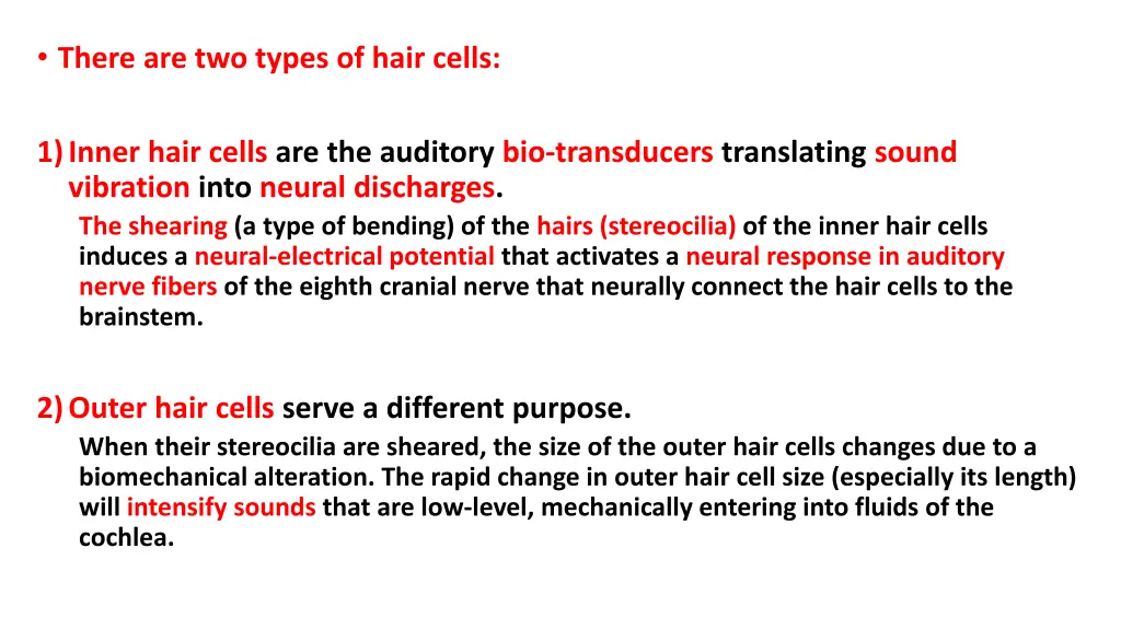 there are two types of hair cells