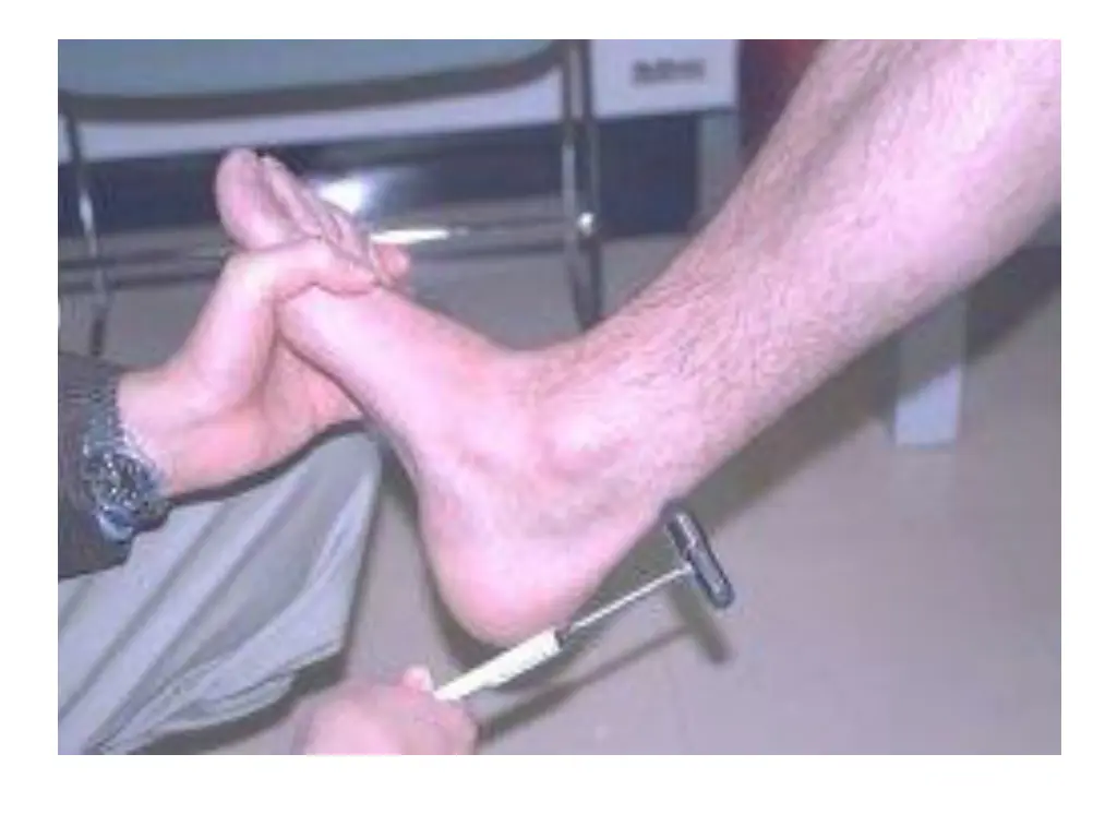 slide4