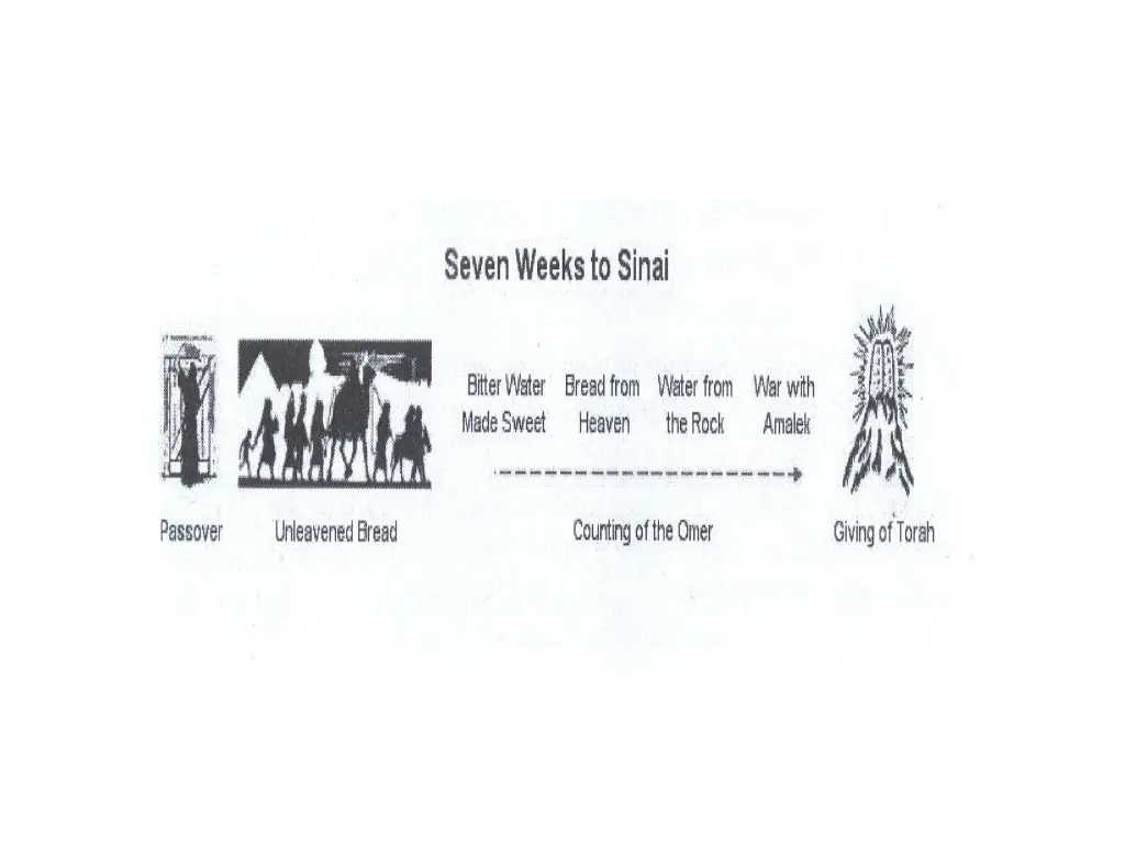 slide12