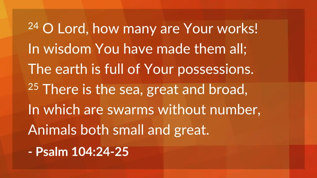 24 o lord how many are your works in wisdom