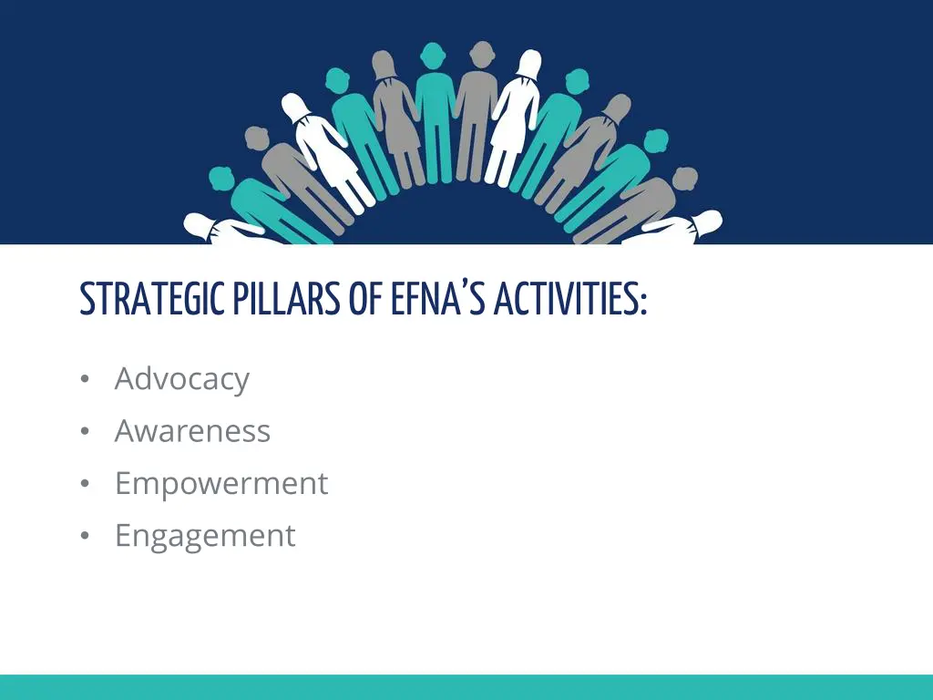strategic pillars of efna s activities e title