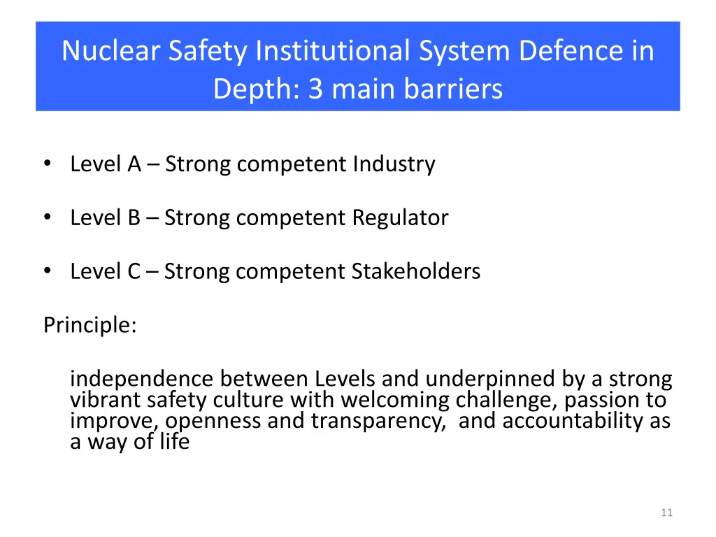 nuclear safety institutional system defence