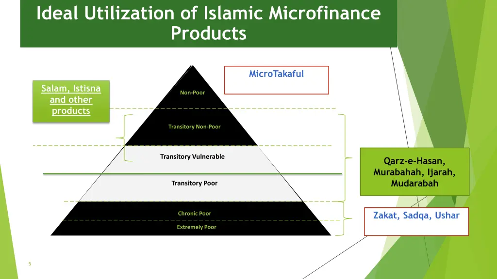 ideal utilization of islamic microfinance products