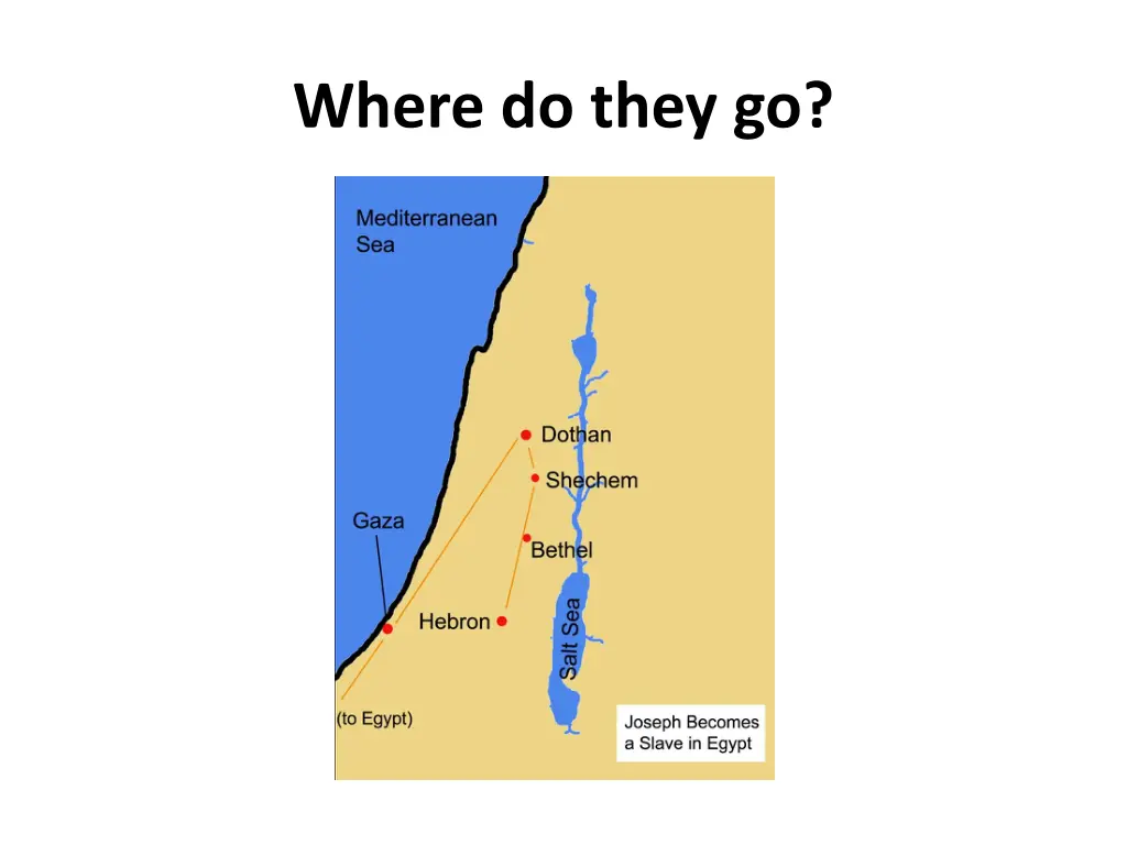 where do they go