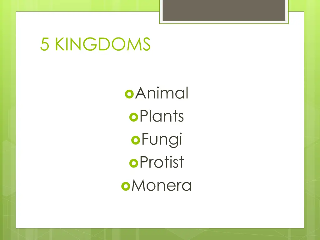 5 kingdoms