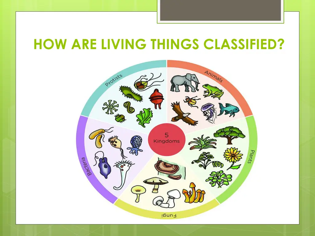 how are living things classified