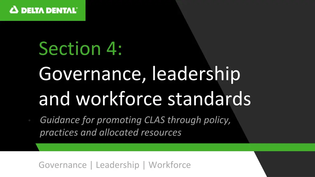 section 4 governance leadership and workforce