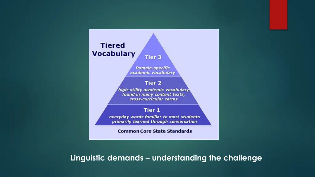 linguistic demands understanding the challenge